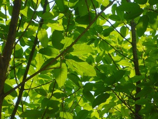 Image_1724308830549