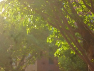 Image_1718452198776