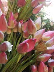IMG_20240712_185636