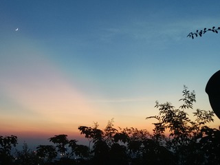 1000096376
