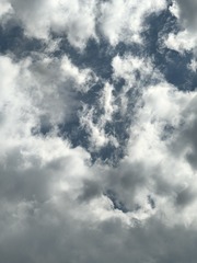 1000002265