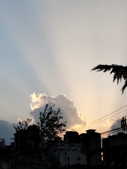 1000024745