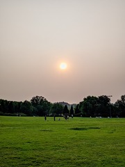 1000020008