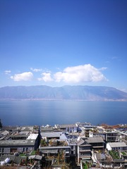 1000011647
