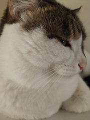12132