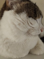 12131