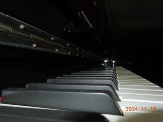 1000018081