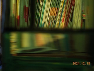 1000021608