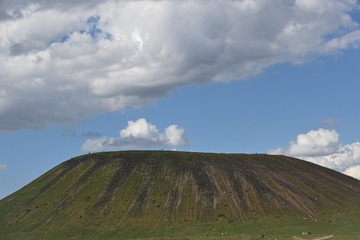 1000013527