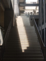 3164605