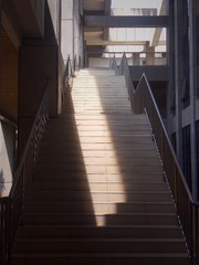 3164605