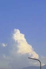 2351902