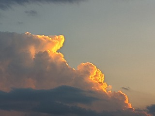 1000003684
