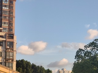 1000022951