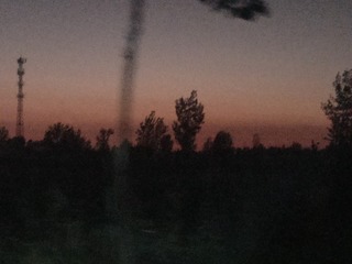 1000023539