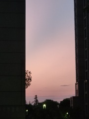 1000023907