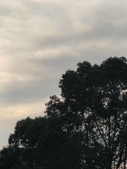 1000022502