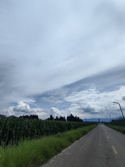 1000022044
