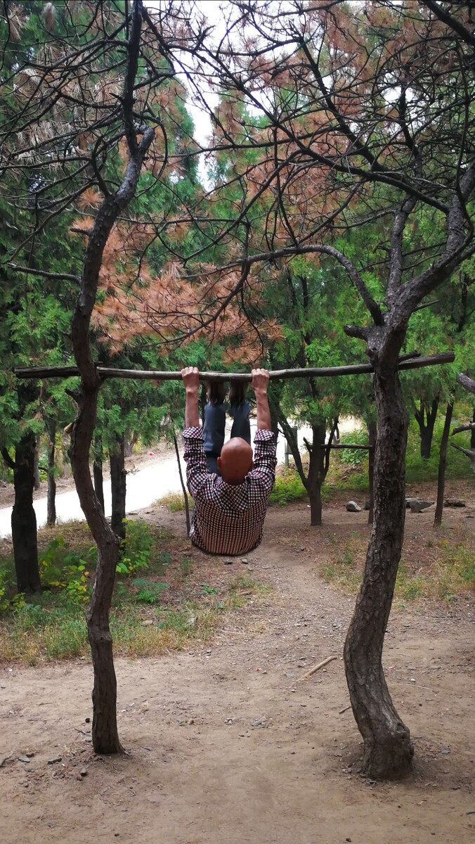 树上 健身 绳子