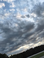 1000021715