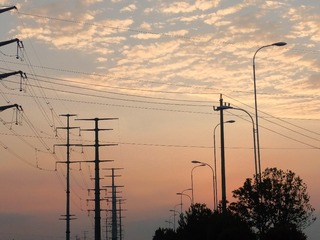 1000092461