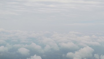 1000030222