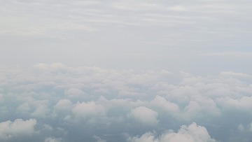 1000030221