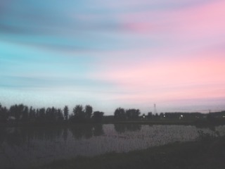 63
