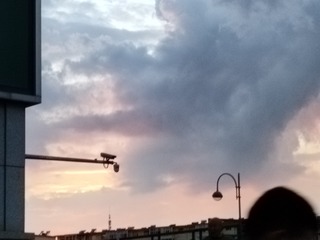 1000103417