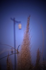 DSC_4692.JPG