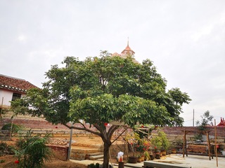 18616