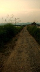 dsc06792_副本.jpg