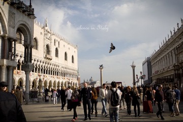 IMG_2935.jpg