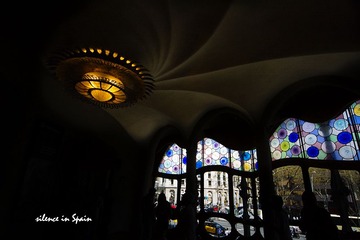 IMG_4331.jpg