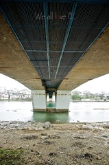 MRD_5846.jpg