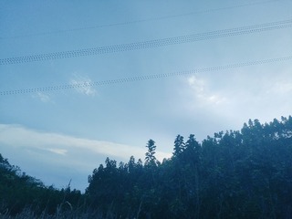 1000018655