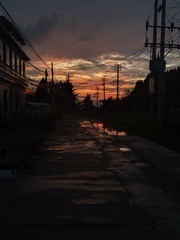 1000048978