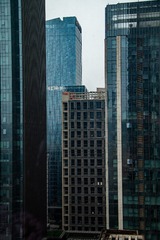 1000093601