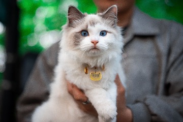 27504