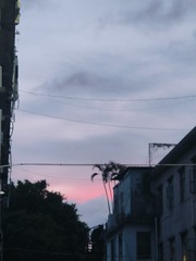 1000051560