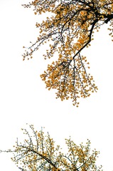IMGP5996-1