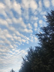 1000093640