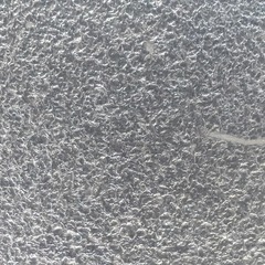 1000069727