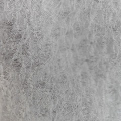 1000069731