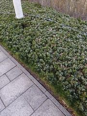 1000008434