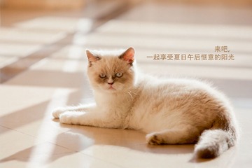 午后阳光