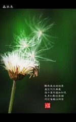 乱拍乱写