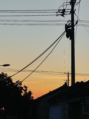 1000017915