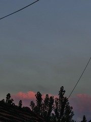 1000017918