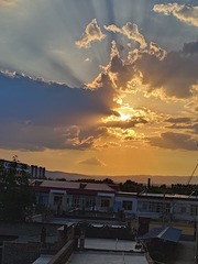 1000035876